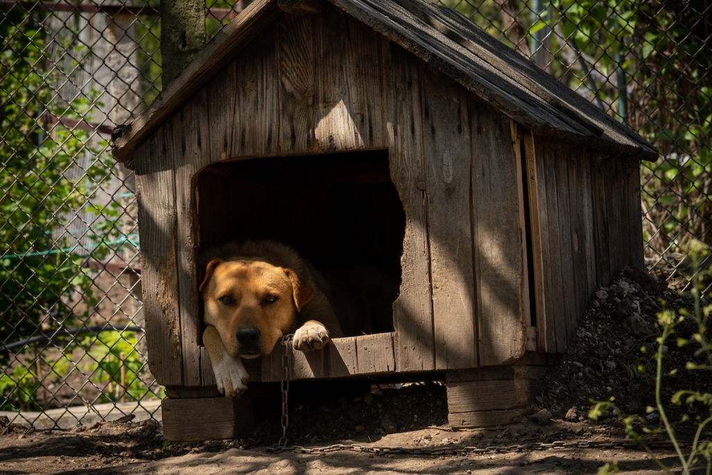 Comment fabriquer une niche pour chien en palette